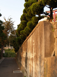 PB043448c.jpg