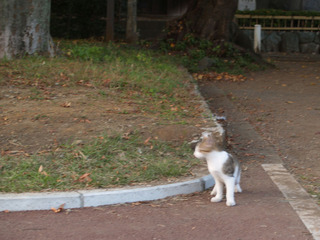 PB043453a.jpg