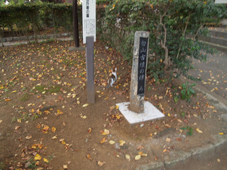 PB043456.jpg