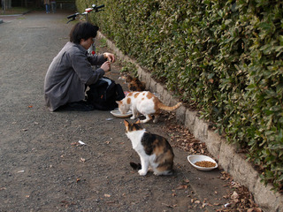 PB043462.jpg