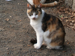 PB043465b.jpg